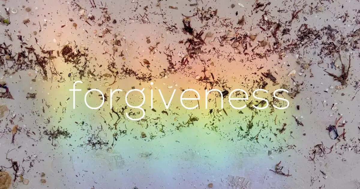 Forgiveness – The Marginalian